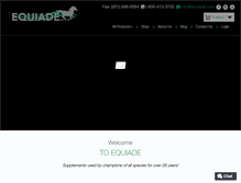 Tablet Screenshot of equiade.com